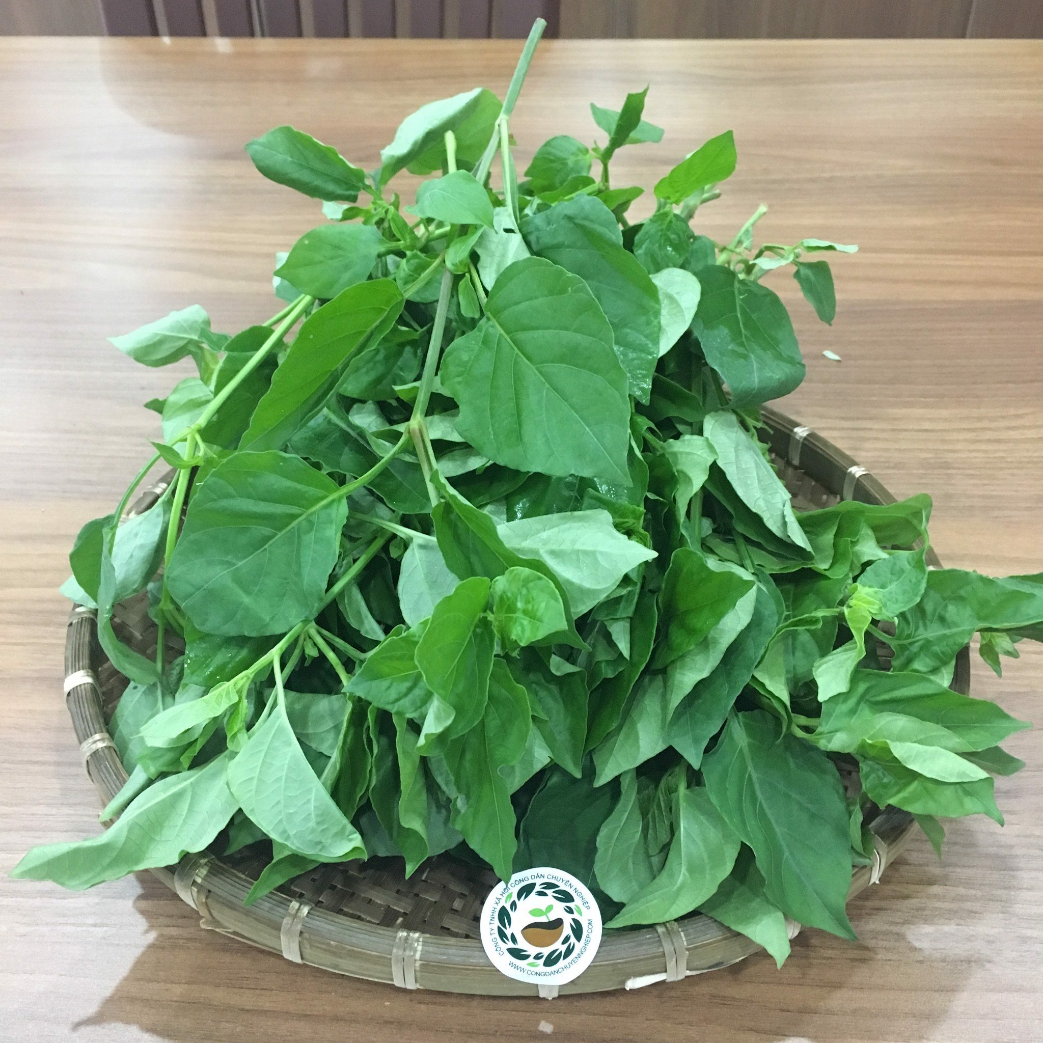 Rau ngót Nhật